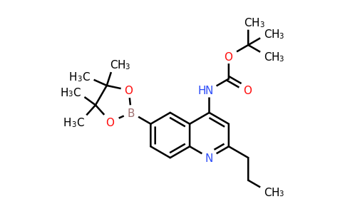 4-Tert-butoxycarbonylamino-6-(4,4,5,5-tetramethyl-1,3,2-dioxaborolan-2-YL)-2-propylquinoline