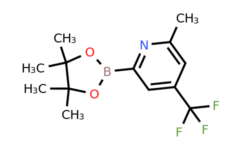 6-Methyl-4-(trifluoromethyl)pyridin-2-ylboronic acid pinacol ester
