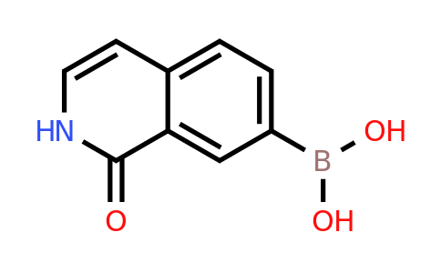 1-Oxo-1,2-dihydroisoquinolin-7-ylboronic acid