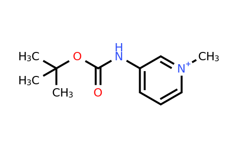 3-(Tert-butoxycarbonylamino)-1-methylpyridinium