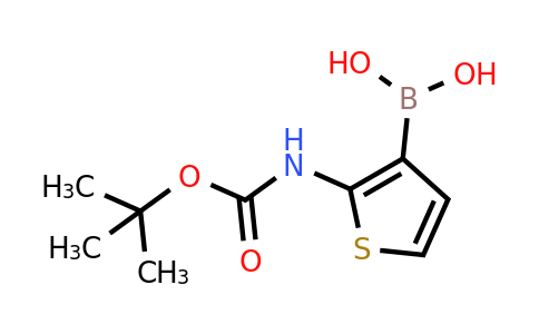 2-(Tert-butoxycarbonylamino)-thiophene-3-boronic acid