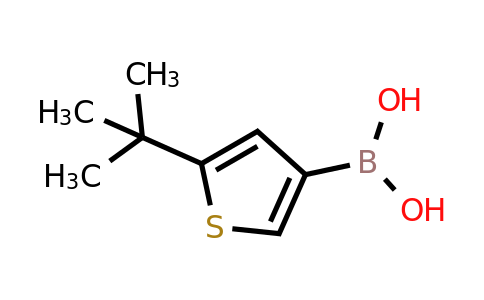 5-Tert-butylthiophene-3-boronic acid