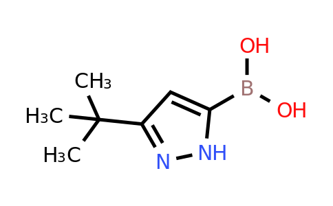 3-Tert-butyl-1H-pyrazole-5-boronic acid