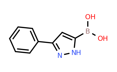 3-Phenyl-1H-pyrazole-5-boronic acid
