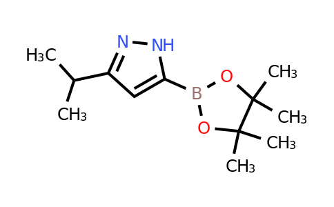 3-Isopropyl-1H-pyrazole-5-boronic acid pinacol ester