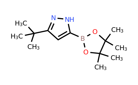3-Tert-butyl-5-(4,4,5,5-tetramethyl-1,3,2-dioxaborolan-2-YL)-1H-pyrazole