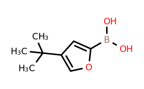 4-Tert-butyl-2-furanboronic acid