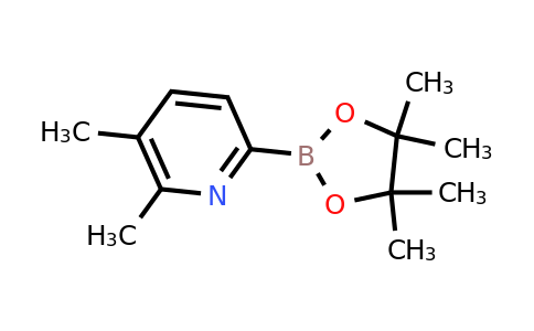 5,6-Dimethylpyridine-2-boronic acid pinacol ester