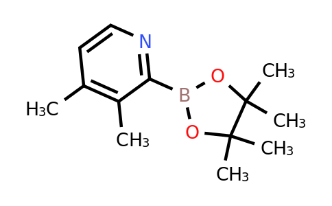 (3,4-Dimethylpyridin-2-YL)boronic acid pinacol ester