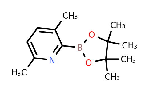(3,6-Dimethylpyridin-2-YL)boronic acid pinacol ester