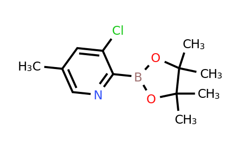 (3-Chloro-5-methylpyridin-2-YL)boronic acid pinacol ester