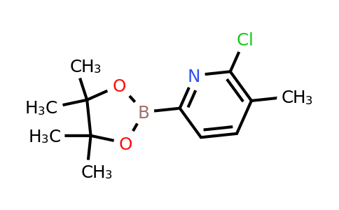 (6-Chloro-5-methylpyridin-2-YL)boronic acid pinacol ester