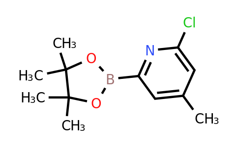 (6-Chloro-4-methylpyridin-2-YL)boronic acid pinacol ester