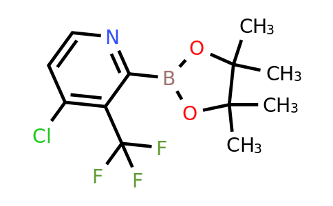 [4-Chloro-3-(trifluoromethyl)pyridin-2-YL]boronic acid pinacol ester