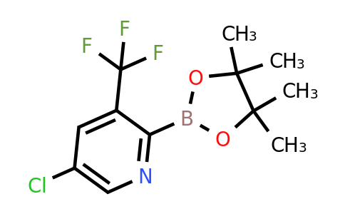 [5-Chloro-3-(trifluoromethyl)pyridin-2-YL]boronic acid pinacol ester
