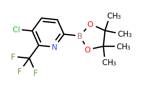[5-Chloro-6-(trifluoromethyl)pyridin-2-YL]boronic acid pinacol ester