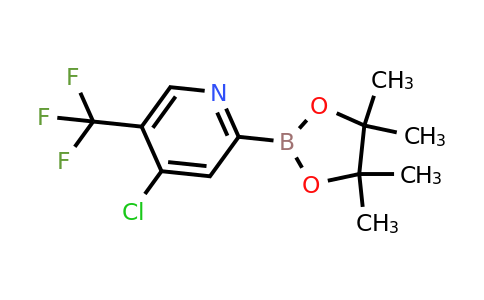 [4-Chloro-5-(trifluoromethyl)pyridin-2-YL]boronic acid pinacol ester