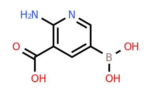 2-Amino-5-borononicotinic acid