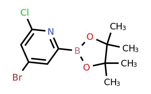 (4-Bromo-6-chloropyridin-2-YL)boronic acid pinacol ester