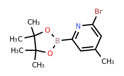 (6-Bromo-4-methylpyridin-2-YL)boronic acid pinacol ester