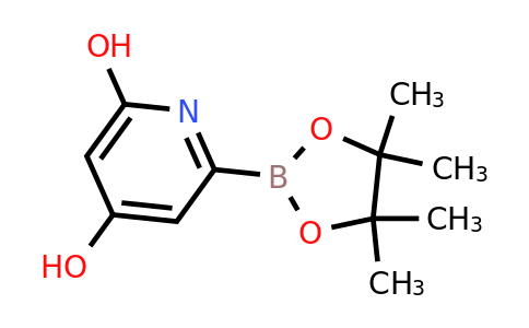 (4,6-Dihydroxypyridin-2-YL)boronic acid pinacol ester