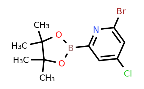 (6-Bromo-4-chloropyridin-2-YL)boronic acid pinacol ester