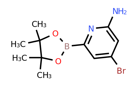 (6-Amino-4-bromopyridin-2-YL)boronic acid pinacol ester