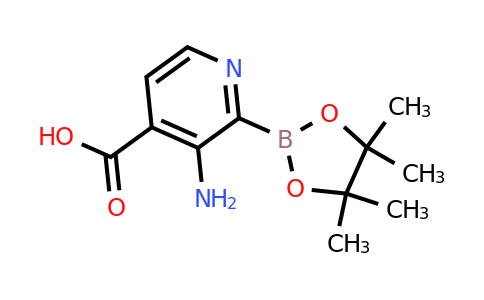 3-Amino-4-carboxypyridine-2-boronic acid pinacol ester