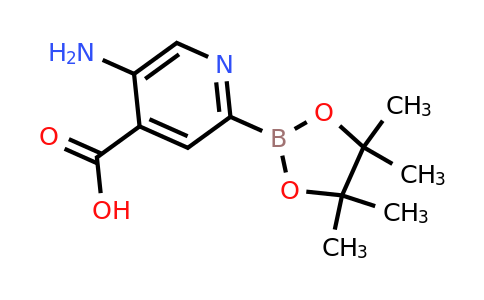 5-Amino-4-carboxypyridine-2-boronic acid pinacol ester
