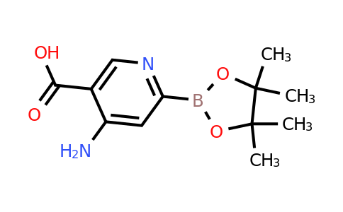 4-Amino-5-carboxypyridine-2-boronic acid pinacol ester