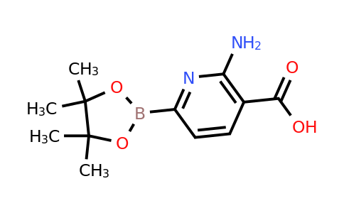 6-Amino-5-carboxypyridine-2-boronic acid pinacol ester