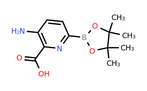 5-Amino-6-carboxypyridine-2-boronic acid pinacol ester