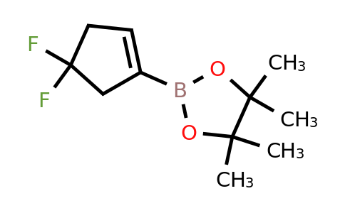 4,4-Difluorocyclopent-1-ene-1-boronic acid pinacol ester