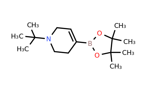 1-Tert-butyl-1,2,3,6-tetrahydropyridine-4-boronic acid pinacol ester