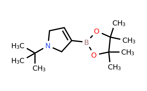 1-Tert-butyl-2,5-dihydro-1H-pyrrole-3-boronic acid pinacol ester