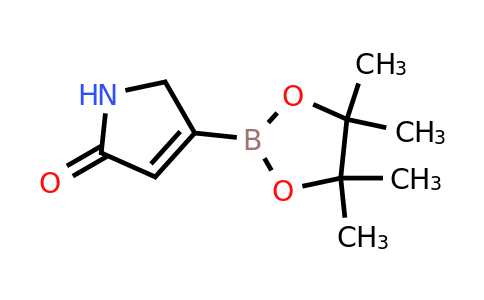 5-Oxo-2,5-dihydro-1H-pyrrole-3-boronic acid pinacol ester
