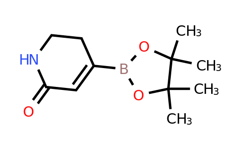 6-Oxo-1,2,3,6-tetrahydropyridine-4-boronic acid pinacol ester