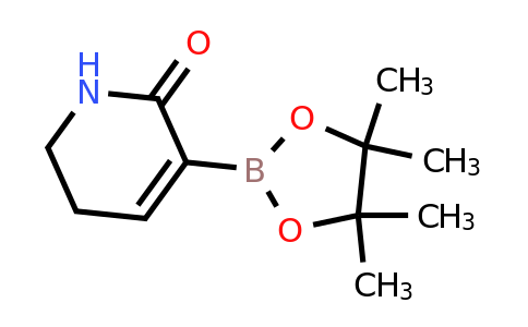 2-Oxo-1,2,5,6-tetrahydropyridine-3-boronic acid pinacol ester