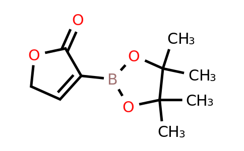 2-Oxo-2,5-dihydrofuran-3-boronic acid pinacol ester