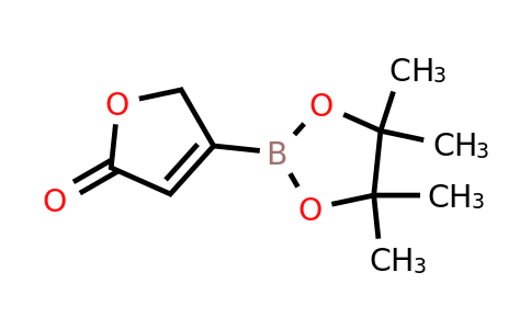 5-Oxo-2,5-dihydrofuran-3-boronic acid pinacol ester