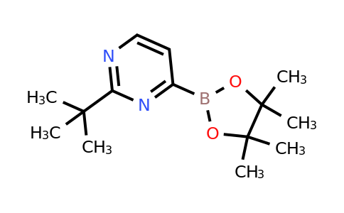 2-(Tert-butyl)pyrimidine-4-boronic acid pinacol ester