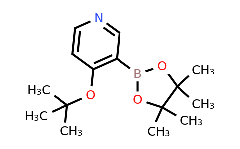 4-(Tert-butoxy)pyridine-3-boronic acid pinacol ester