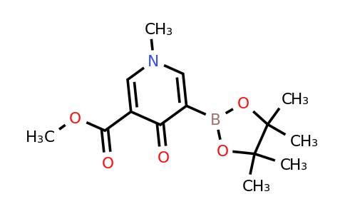 5-(Methoxycarbonyl)-1-methyl-4-oxo-1,4-dihydropyridin-3-ylboronic acid pinacol ester