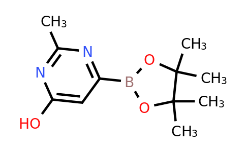 6-Hydroxy-2-methylpyrimidin-4-ylboronic acid pinacol ester