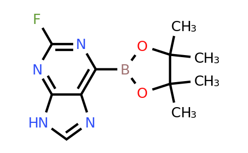 2-Fluoro-9H-purin-6-ylboronic acid pinacol ester