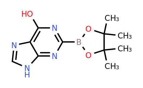 6-Hydroxy-9H-purin-2-ylboronic acid pinacol ester