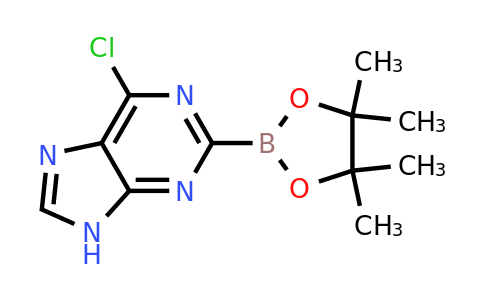 6-Chloro-9H-purin-2-ylboronic acid pinacol ester