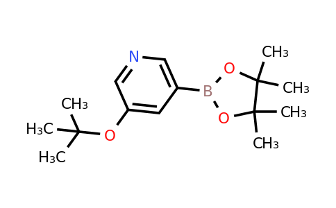 3-Tert-butoxy-5-(4,4,5,5-tetramethyl-1,3,2-dioxaborolan-2-YL)pyridine