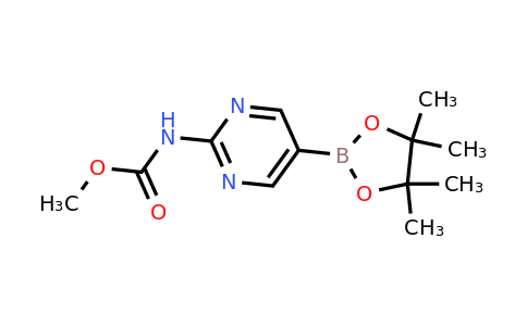 2-(Methoxycarbonylamino)pyrimidin-5-ylboronic acid pinacol ester