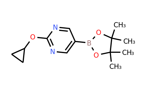 2-Cyclopropoxypyrimidin-5-ylboronic acid pinacol ester